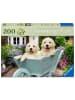 Ravensburger Puzzle 200 Teile Erwachsenenpuzzle 200 Teile - Golden Retriever 9-99 Jahre in bunt