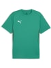 Puma T-Shirt "TeamGoal Jersey" in Grün