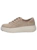Caprice Sneaker in BEIGE COMB