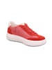 Legero in rot
