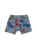 Walkiddy 2er Set Boxershorts Colorful Dragon in Multicolored