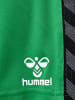 Hummel Hummel Shorts Hmlauthentic Multisport Kinder Atmungsaktiv Schnelltrocknend in JELLY BEAN