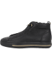 Paul Green Stiefeletten in BLACK