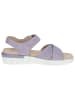 Caprice Sandale in LAVENDER SUEDE