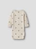 name it Strampler in Turtledove 2
