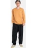 Reell Pullover "Staple Terry Crewneck" in Orange