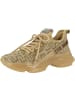 Steve Madden Sneaker low Maxout XT in gold