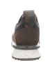 Replay Sneaker in braun