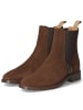 Gant Chelsea Boots FAYY in Braun