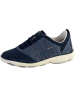 Geox Sneaker D Nebula. C – KNITT.TEXT. + SUEDE Blau