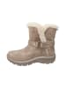 Skechers Stiefel Stiefel in taupe