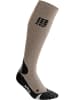 cep Socken CEP pro+ outdoor merino sock in Beige