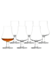 Stölzle 6er Set Whiskygläser Nosing Glass 195 ml in transparent