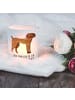 Mr. & Mrs. Panda Windlicht Hund Dogge mit Spruch in Transparent