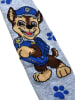 Paw Patrol 2er Pack Paw Patrol Strumpfhose Chase & Marshall Strickstrumpfhose in blau/grau