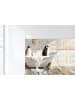 OnlyWow Leinwand Bilder Pinguine