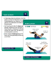 Steffen Klein Trainingskarten: Pilates ohne Geräte | 55 Trainingskarten für Anfänger und...
