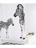 RIDDER Duschvorhang Textil Zebra schwarz 180x200 cm