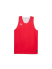 Puma T-Shirt "teamJAWS Reversible Jersey" in Rot