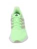 adidas Klassische- & Business Schuhe in green spartk/orbit grey/putty