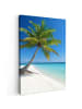 MuchoWow Leinwand bilder Palme (BxH)