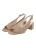 Högl Pumps in Taupe