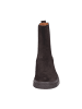 Apple of Eden Stiefeletten  Bis in braun