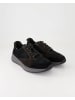 Sioux Sneaker low in Schwarz