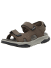 Skechers Sandalen in braun