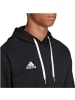 adidas Performance adidas Entrada 22 Sweat Hoodie in Schwarz