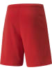 Puma Sporthose "TeamRISE Short" in Rot