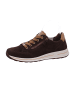 Ara Shoes Schnürer Osaka 2.0 in Braun