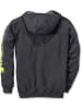 CARHARTT  Hoodie "K288" in Grau