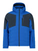 Protest " PRTNaldo in Vibrant blue