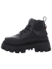 Palladium Stiefelette in schwarz