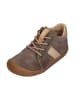KOEL Sneaker Low BLAKE SUEDE in braun