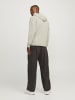 Jack & Jones Kapuzenjacke in Moonbeam