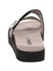 KOEL Boots in grau