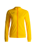 Nike Performance Trainingsjacke Dri-FIT Academy in gelb