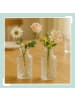 relaxdays 12 x Glasvase in Transparent - (H)13 x Ø 6 cm
