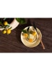 ebuy24 Servierplatte Kutie 2er Set Beige 2er Set