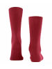 Falke Socken 1er Pack in Rot