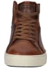 LLOYD Sneaker in Brandy