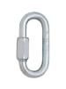 EDELRID SCREWLINK 10MM II in Silber