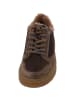 Paul Green Schnürschuhe in earth/moro