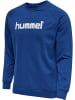 Hummel Sportshirt in Blau