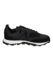 Timberland Sneaker Low Treeline in schwarz