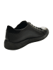 Ecco Komfort Schnürschuhe in Schwarz