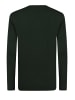 Felix Hardy Pullover in Grün