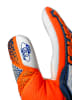 Reusch Torwarthandschuhe Attrakt Freegel Gold NC in 2500 shock orng/energ blue